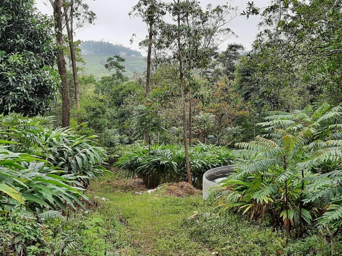 Cassells Jungle Resorts Thekkady Vandiperiyar Экстерьер фото