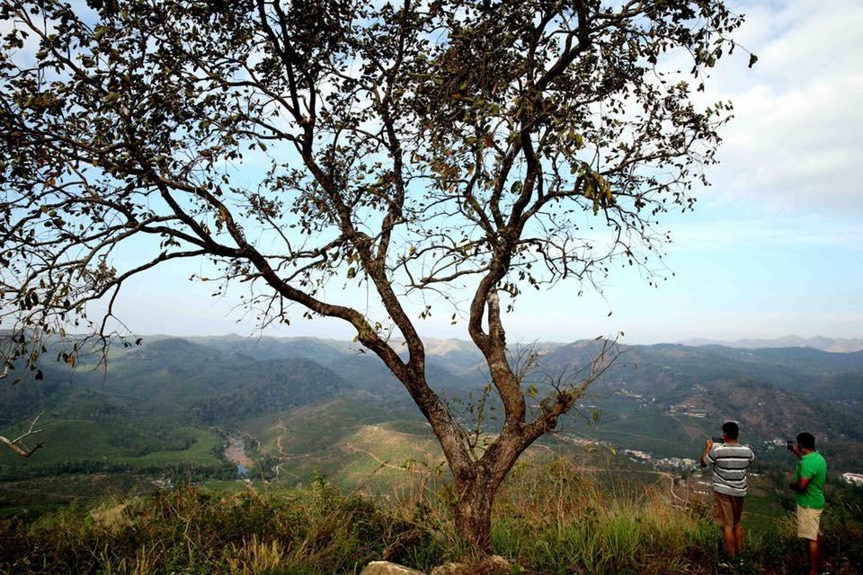 Cassells Jungle Resorts Thekkady Vandiperiyar Экстерьер фото
